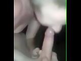 Sexy brunette deep-throating a big cock and getting her tight pussy fucked